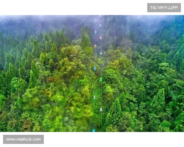 咸丰马拉松赛道纵深穿越坪坝营原始森林挑战自然极限 咸丰马拉松赛道纵深穿越坪坝营原始森林挑战自然极限